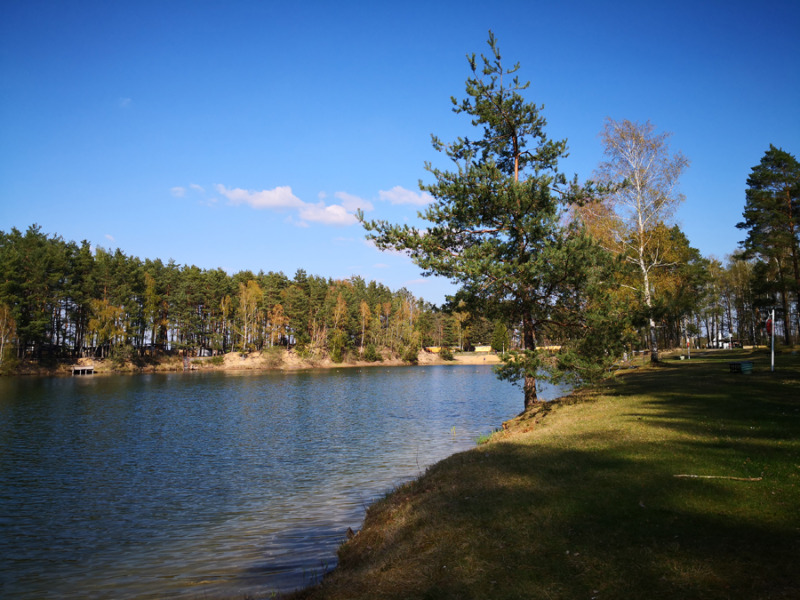 Idyllisch planschen im Waldbad