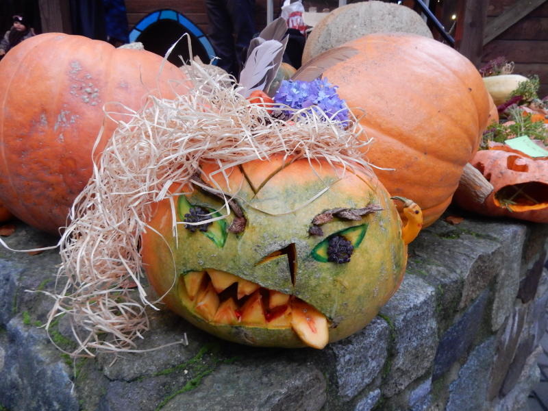 Halloween im Tierpark