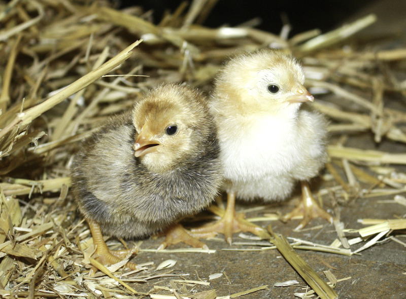 Frühlingserwachen im Tierpark