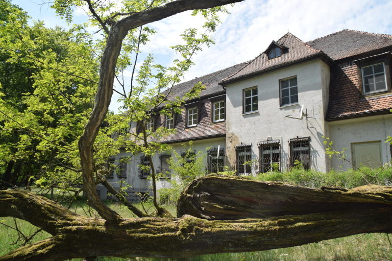 Niederspree nun mit Kindercamp