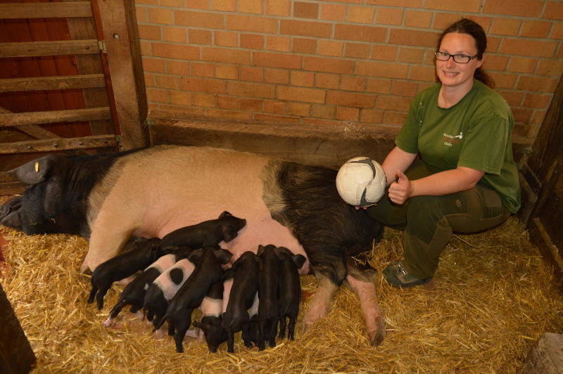 Tierische WM-Helden & afrikanische Könige