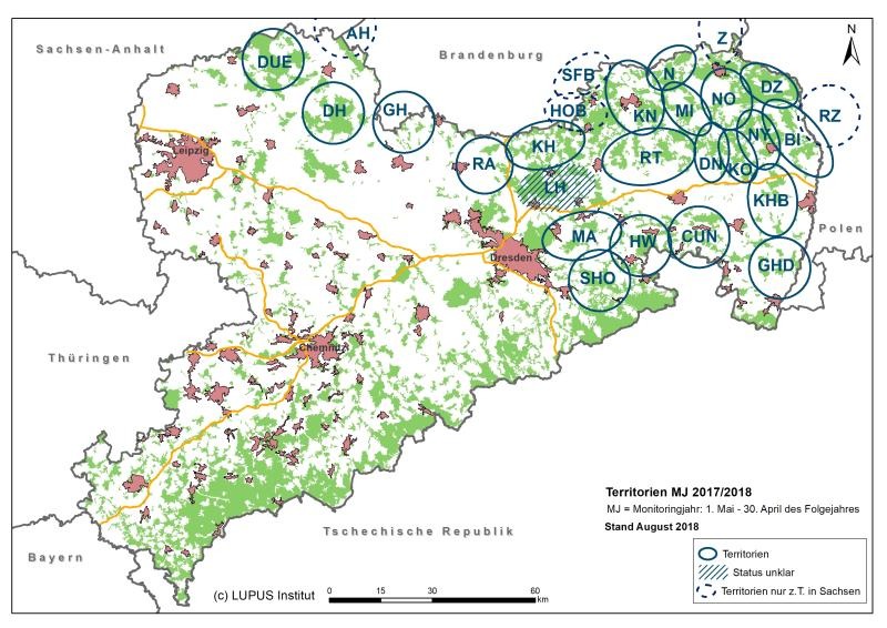 Die Oberlausitz ist Wolfshochburg