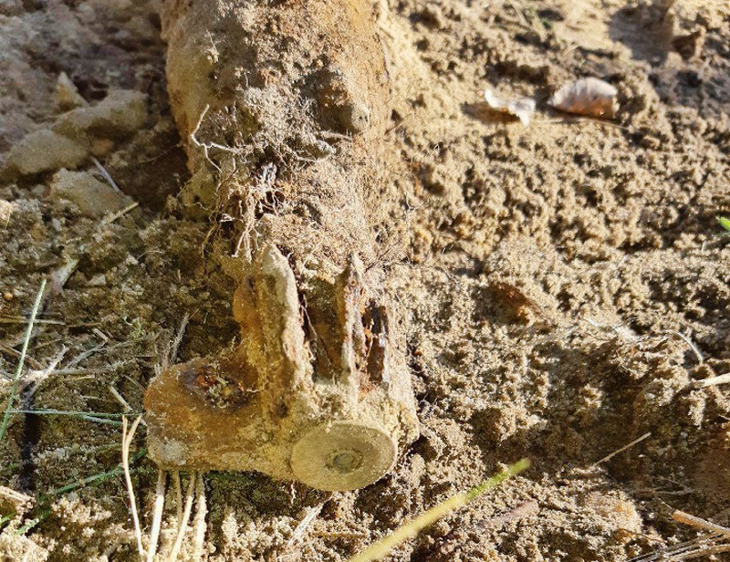 Leuchtgranate in Nochten ausgegraben