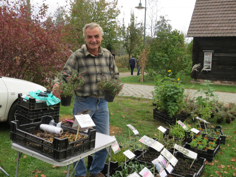 Herbstgartenmarkt und Ferienangebote locken