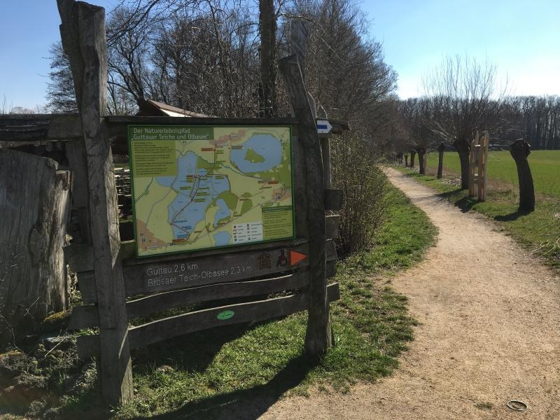 Wenn Mensch und Frosch gemeinsam wandern