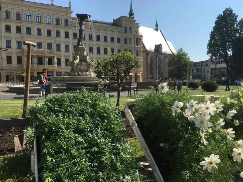 Mit den Blumen kommt das Flaniergefühl