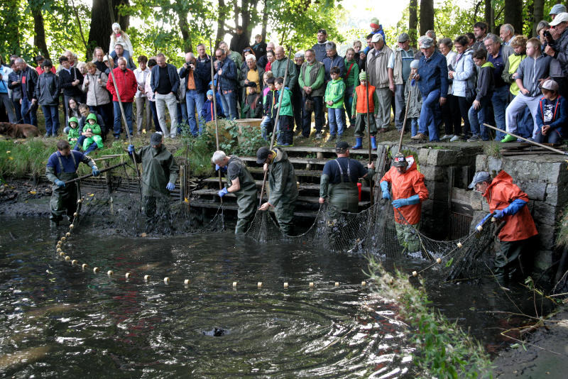 Ein großes Fest zum Abfischen