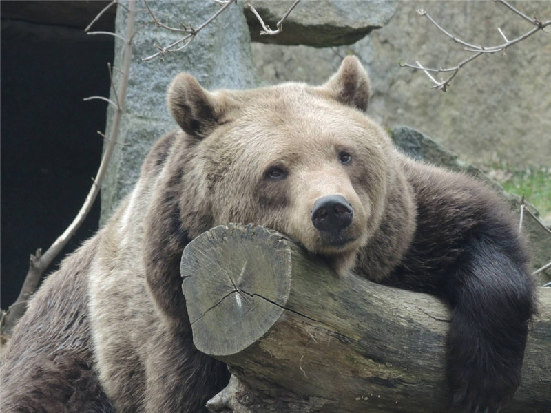 Osterbesuch bei Jane & Co. im kleinsten Zoo