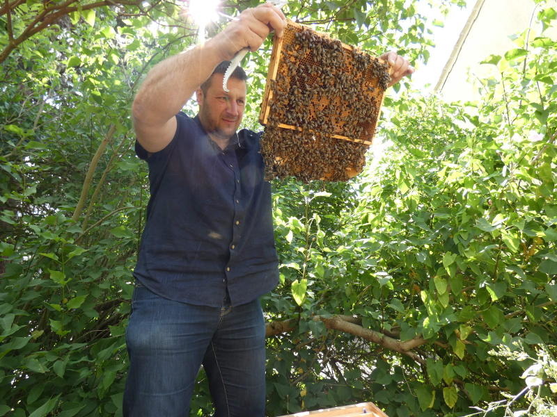 Schwester Agnes kommt zu den Bienen