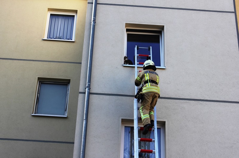 Florianjünger retten Kätzchen von Fenstersims