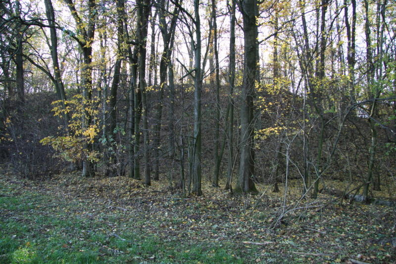 Exkursion zur Kopschiner Schanze