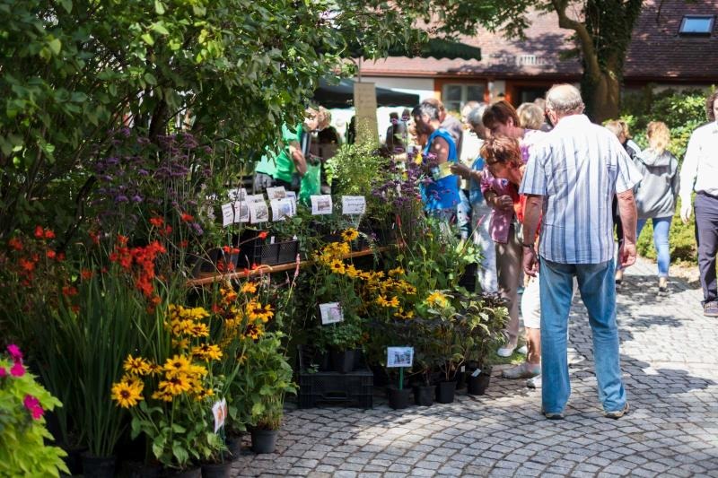 Kräutersonntag im Kräutergarten