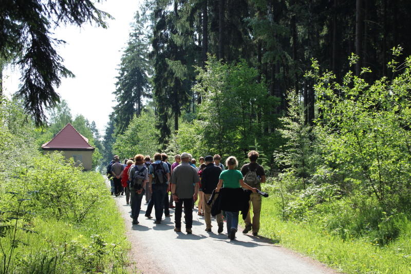 Auf zur „Naturkundlichen Morgenwanderung“