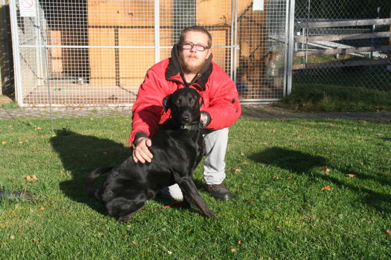 Wer interessiert sich für Labrador-Mix Rocky? 