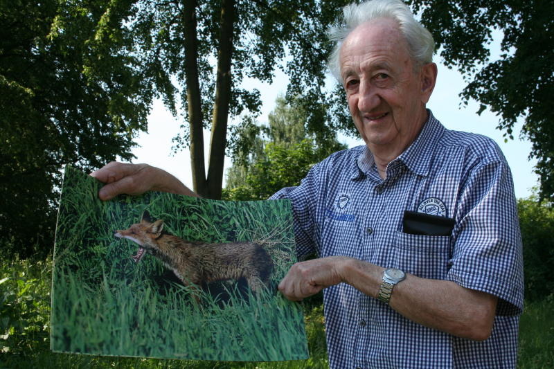 Hobbyfotograf überlistet Rotfüchse