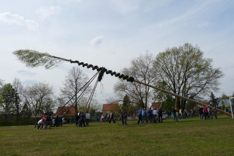 Maibaum aufstellen per Muskelkraft!