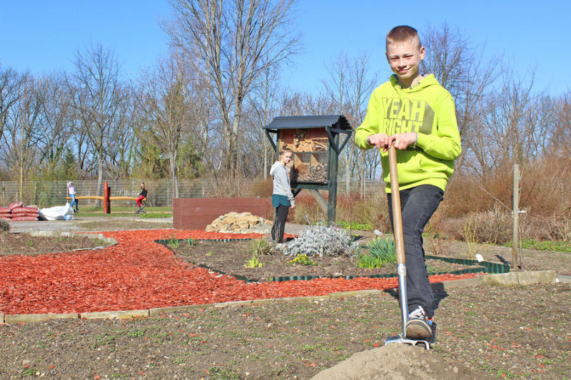 Bautzen hat Sachsens schönsten Schulgarten