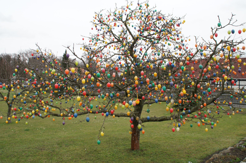 Apfelbaum als Eierbaum 