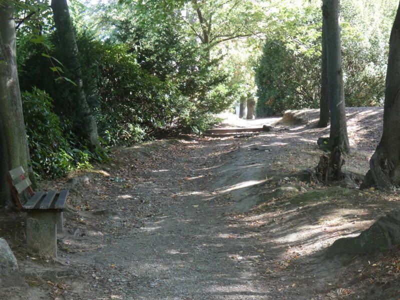 Stadtpark muss saniert werden