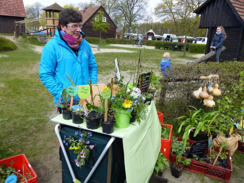 Gartenmarkt im Erlichthof