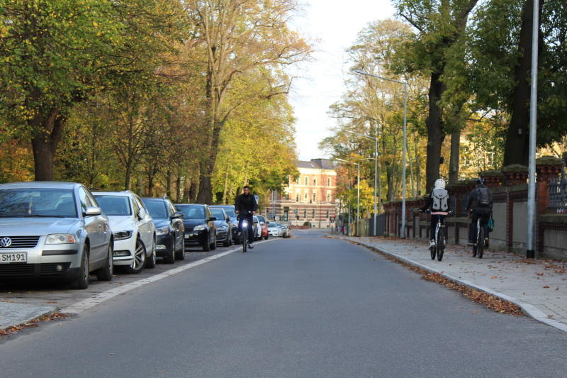 Stadträte fordern Parkkonzept ein