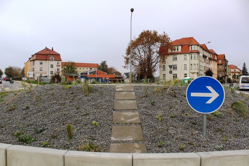 Weihnachtsbaum für den Schliebenkreisel