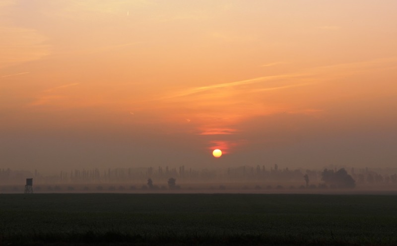 Sonnenaufgang im Nebel