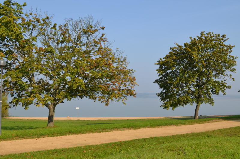 Stausee wird zum Forschungsobjekt