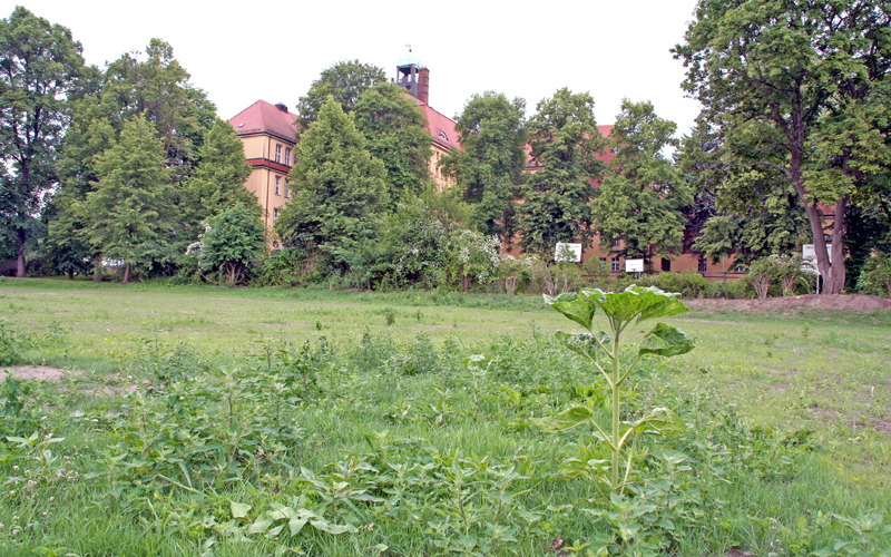 Kamenz startet durch bei Schulsanierung