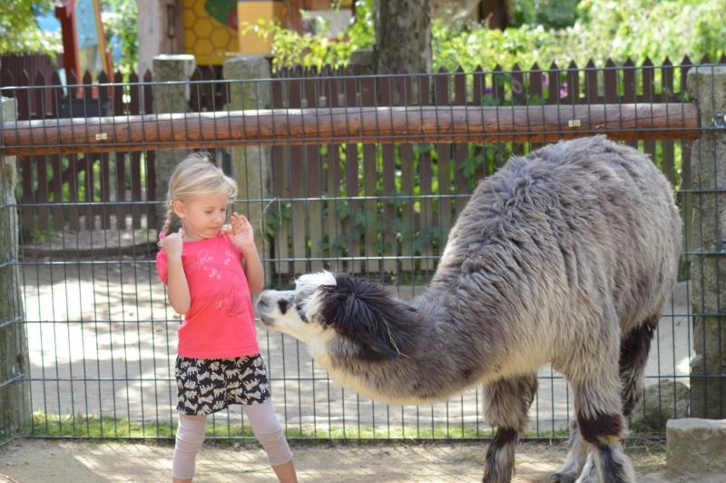 Kinder kommen nicht mehr unbeaufsichtigt in den Zoo