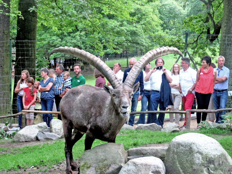 Zoos benötigen 100 Millionen Euro Soforthilfe