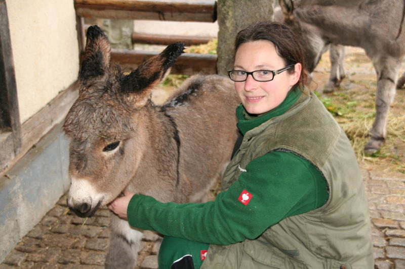 Tierpark Görlitz: Taki schlägt ein, Sturm Herwart auch