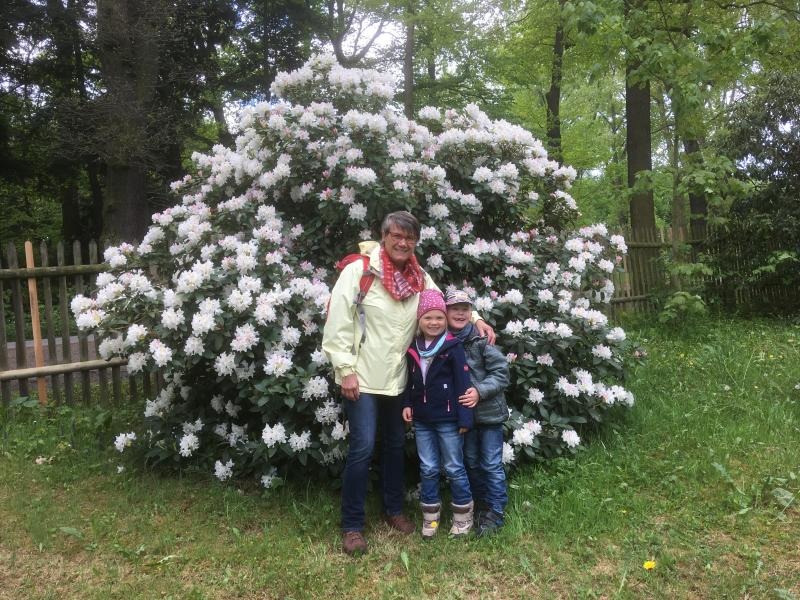 Zittauer Tierpark in voller Blütenpracht