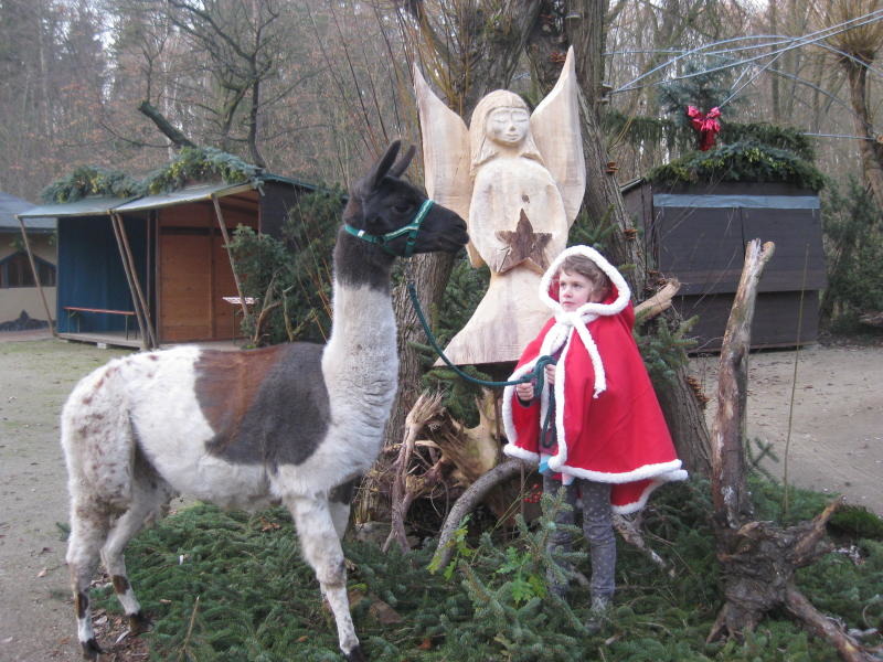 Adventsmarkt im Tierpark lockt die Besucher an