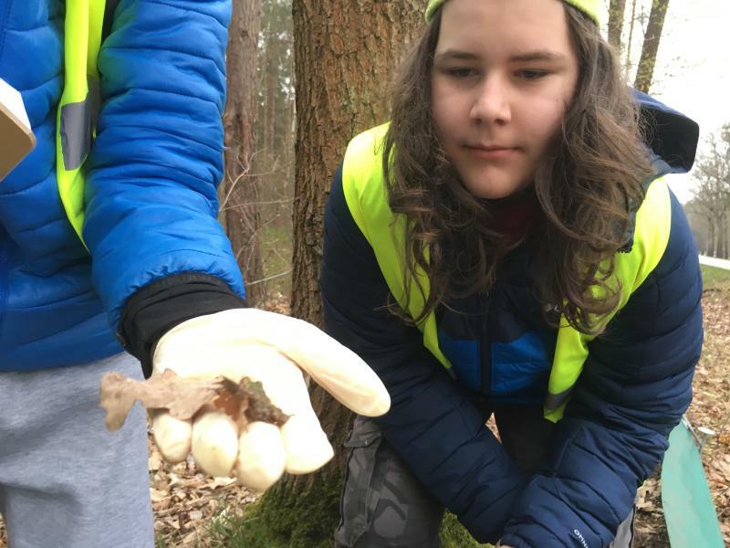 Kinder und Jugendliche helfen den Amphibien