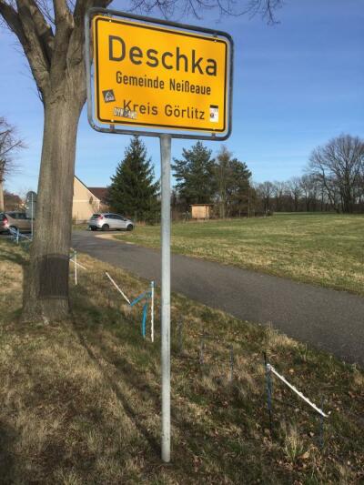 Der Freistaat Sachsen ist jetzt schweinepestfrei