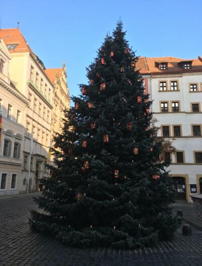 Görlitz nun baumlos, aber bitte mit Baum-Los