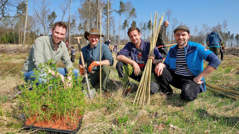 Waldstück in Spitzkunnersdorf aufgeforstet