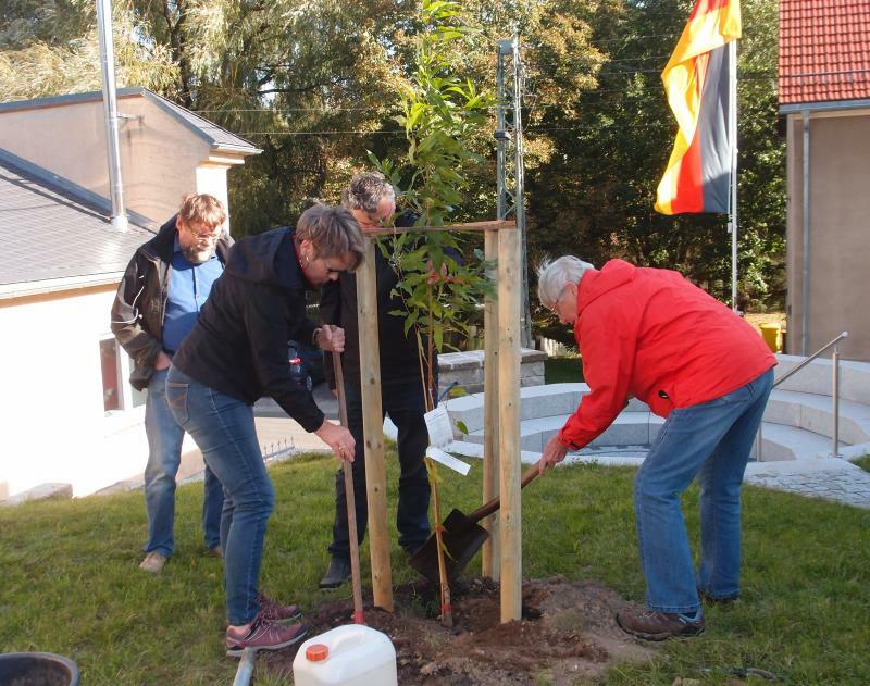 Ein Pfirsichbaum für den Bibelgarten