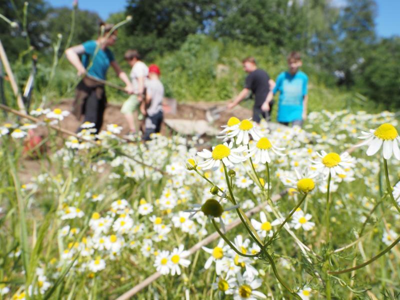 Ein Zuhause
für die Bienen in Kleinholscha
