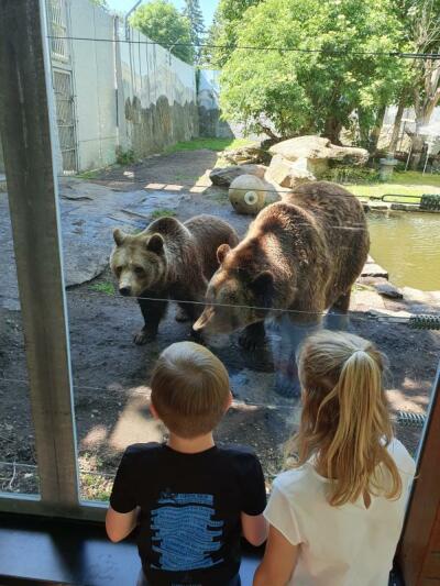 Schiebocker Tierparkteam passt die Eintrittspreise an