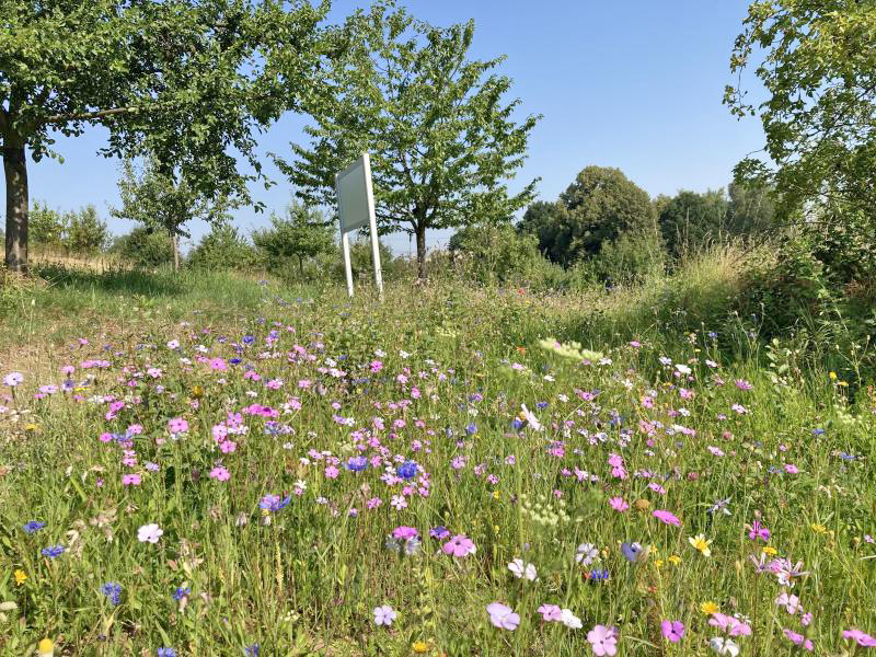 Obstsortengarten in Leuba öffnet Pforten