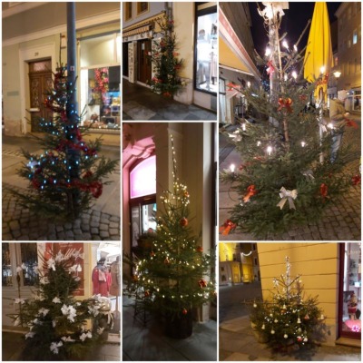 Bautzens Innenstadthändler konkurrieren um den schönsten Weihnachtsbaum