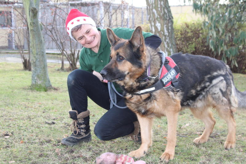 Tierische Geschenke sollten gut überlegt sein