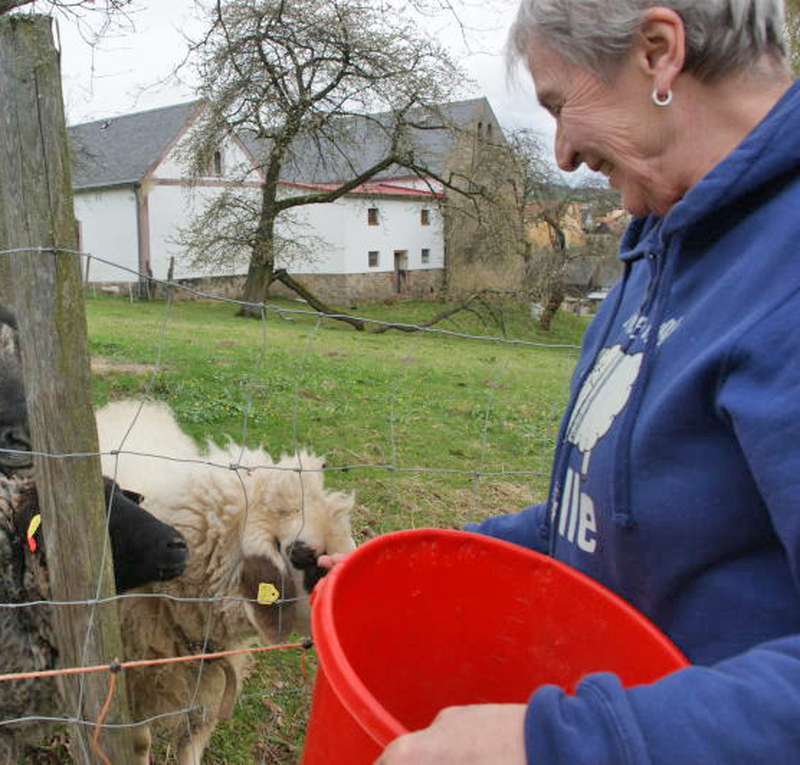 Ein Wollexpress von Sohland am Rotstein nach Mecklenburg