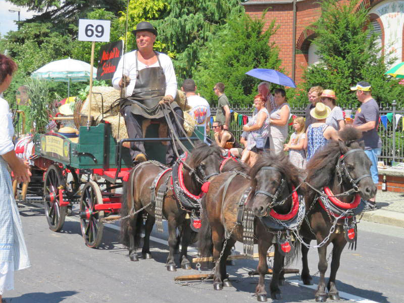 30. Eibauer Bierzug in Vorbereitung