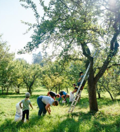 Ernte- und Pflanzfest am Haus Schminke in Löbau
