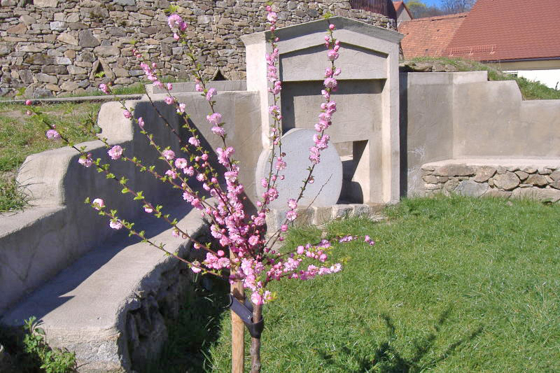 Oberlichtenau: Ein Bibelgarten für Auschwitz