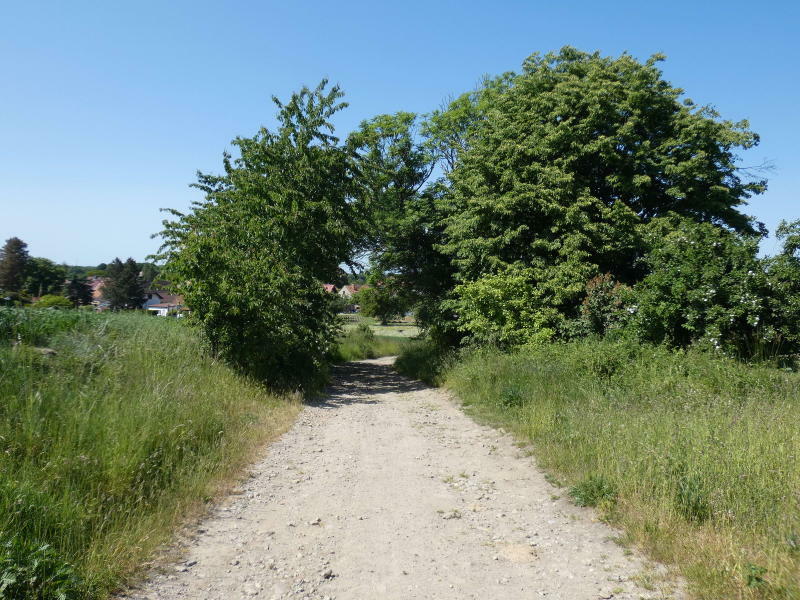 Kirschbergweg bei Gnaschwitz wird ausgebaut