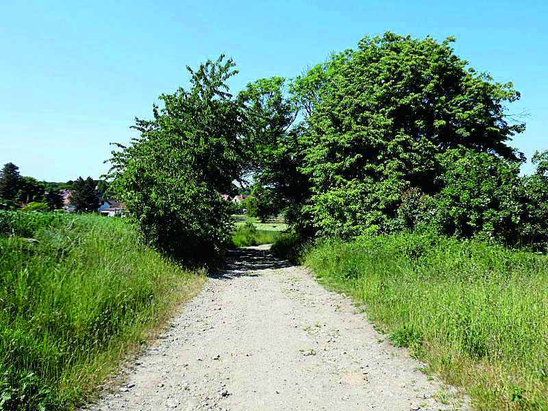 Kirschbergweg bei Gnaschwitz wird ausgebaut